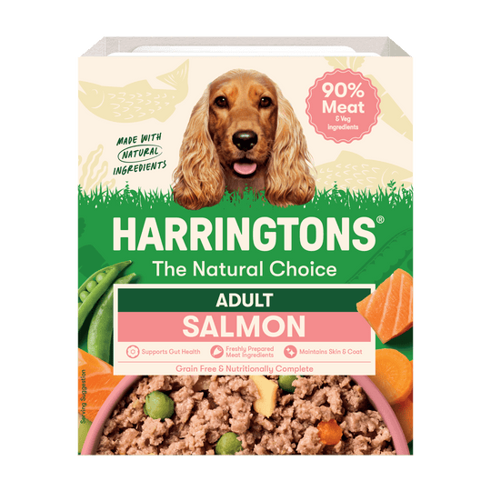 Salmon with Potato & Vegetables Grain Free Wet Dog Food 8 x 400g