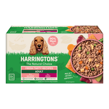 Grain Free Tasty Selection Wet Dog Food Bumper Pack 6 x
