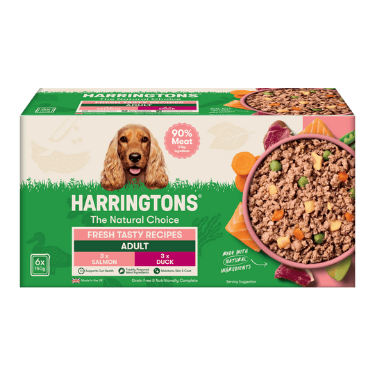 Grain Free Tasty Selection Wet Dog Food Bumper Pack 6 x 150g