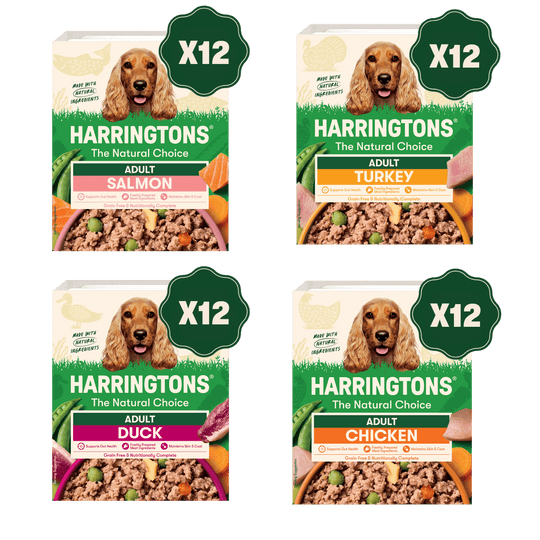 Grain Free Mixed Wet Dog Food Bumper Pack 48 x 400g