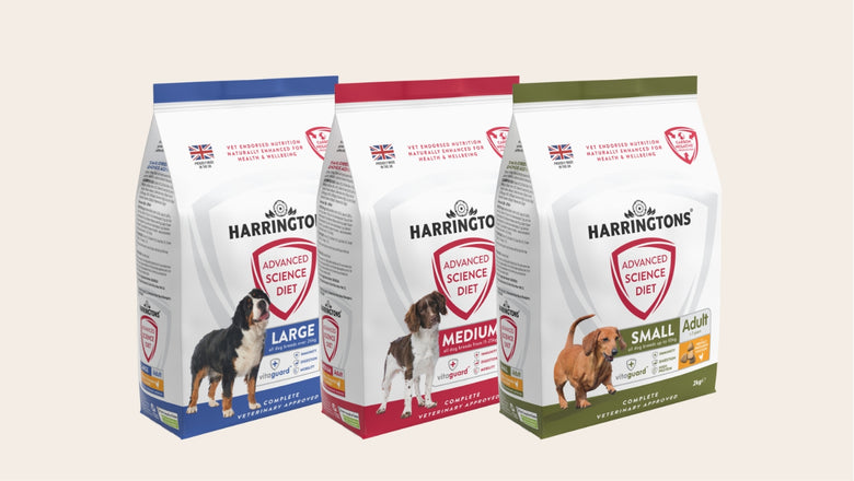 How much should I feed my dog and when? – Harringtons Pet Food