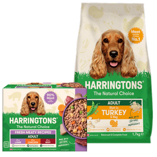 Superfoods Dog Trial Bundle - Chicken & Wet Variety