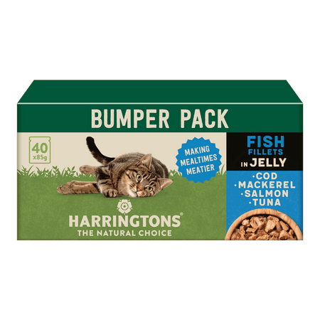 Complete Grain Free Fish Selection Jelly Wet Cat Food Bumper Pack 40x85g