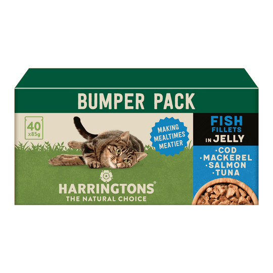 Complete Grain-Free Adult Fish Selection in Jelly Wet Cat Food Bumper Pack 40x85g