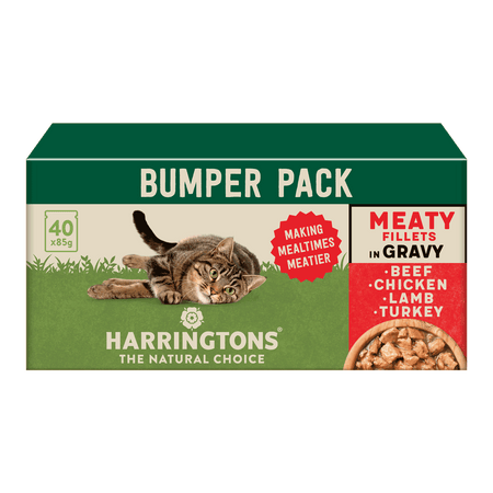 Complete Grain Free Meaty Selection Gravy Wet Cat Food Bumper Pack 40x85g