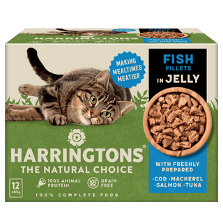 Complete Grain-Free Adult Fish Selection in Jelly Wet Cat Food Bundle 72x85g