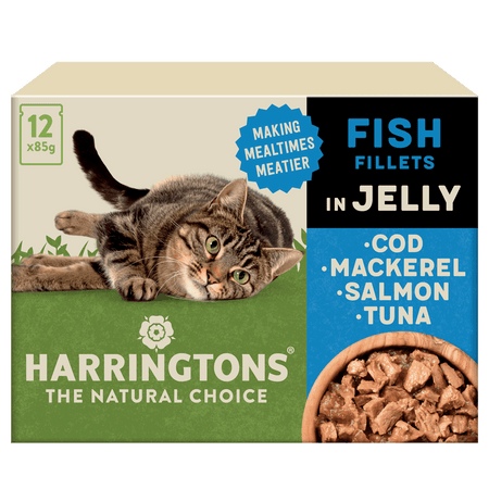 Complete Grain Free Fish Selection Jelly Wet Cat Food Bundle 72x85g