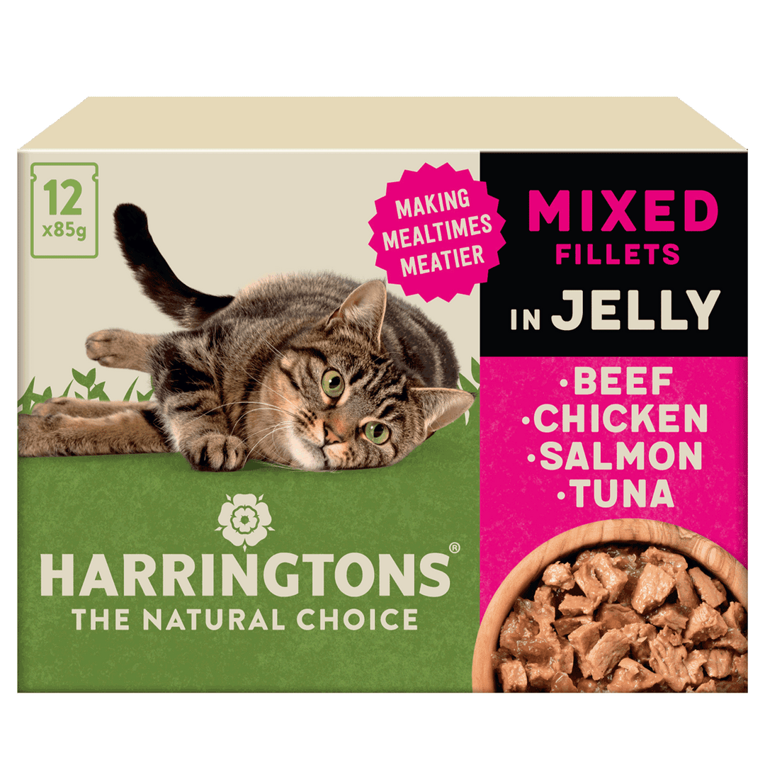 Harringtons | Cat Food | Natural ingredients | Deliciously Tasty ...