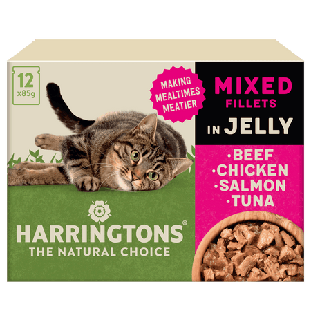 Complete Grain Free Selection Jelly Wet Cat Food Bundle 72x85g