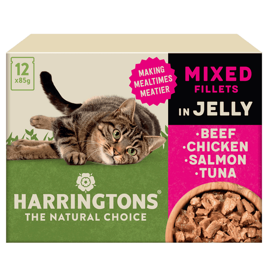 Complete Grain-Free Adult Mixed Selection in Jelly Wet Cat Food Bundle 72x85g