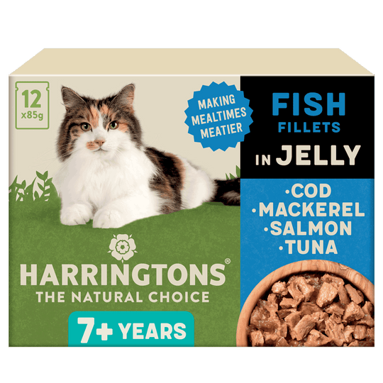 Complete Senior Grain-Free Fish Selection in Jelly Cat Food Bundle 72x85g