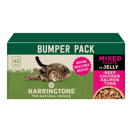 Complete Grain Free Selection Jelly Wet Cat Food Bumper Pack 40x85g