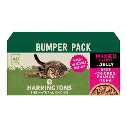Complete Grain-Free Adult Mixed Selection in Jelly Wet Cat Food Bumper Pack 40x85g