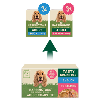 Grain Free Tasty Selection Wet Dog Food Bumper Pack 6 x 150g