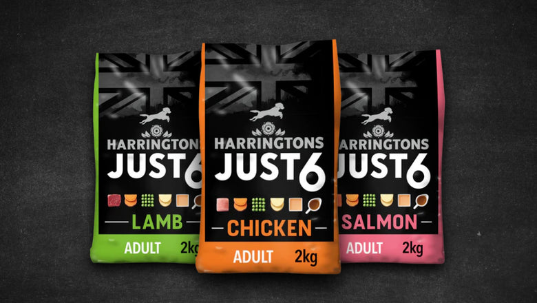 A guide to feeding your pet | Harringtons Natural Pet Food ...