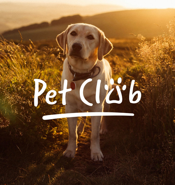 Pet Club