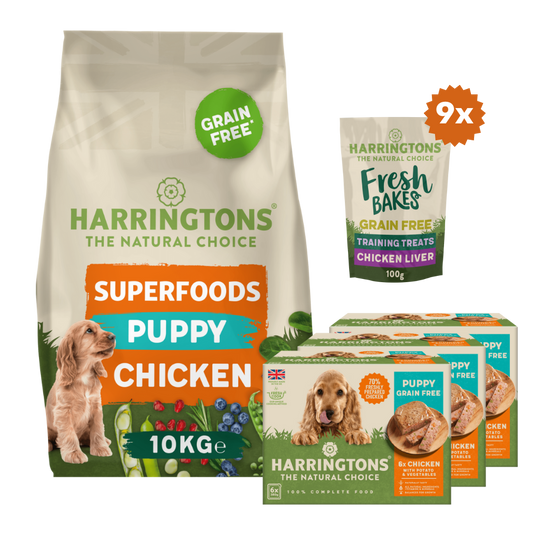 Superfoods Puppy Starter Pack