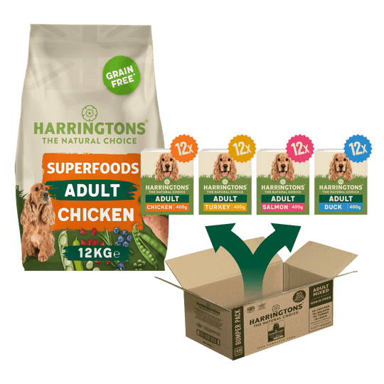 Superfoods Starter Pack