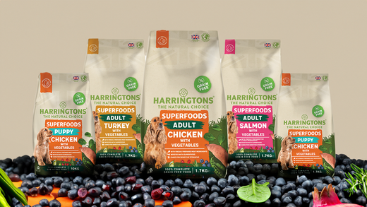 A guide to feeding your pet | Harringtons Natural Pet Food ...