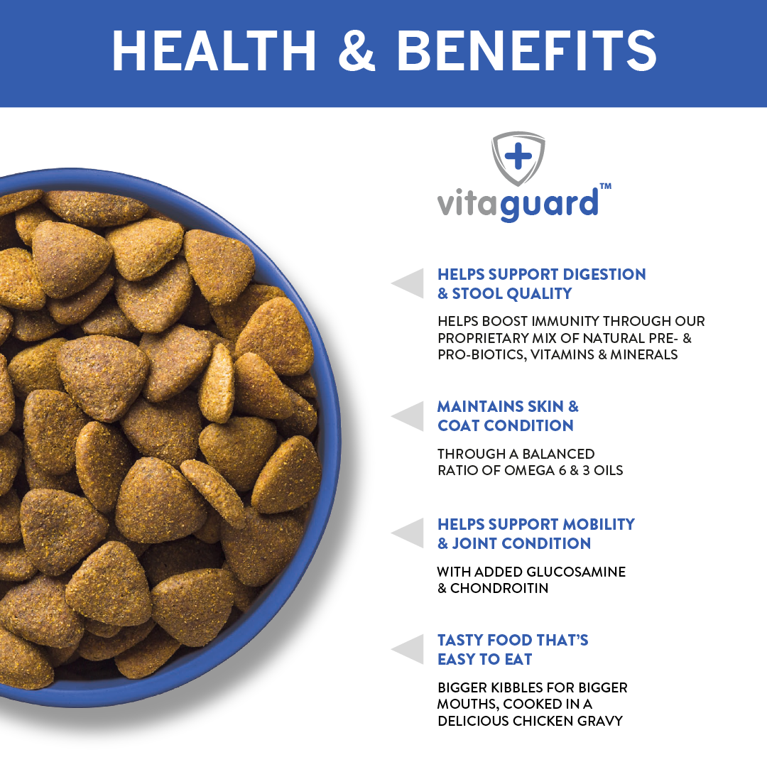 Dog food high in omega 3 and hot sale 6