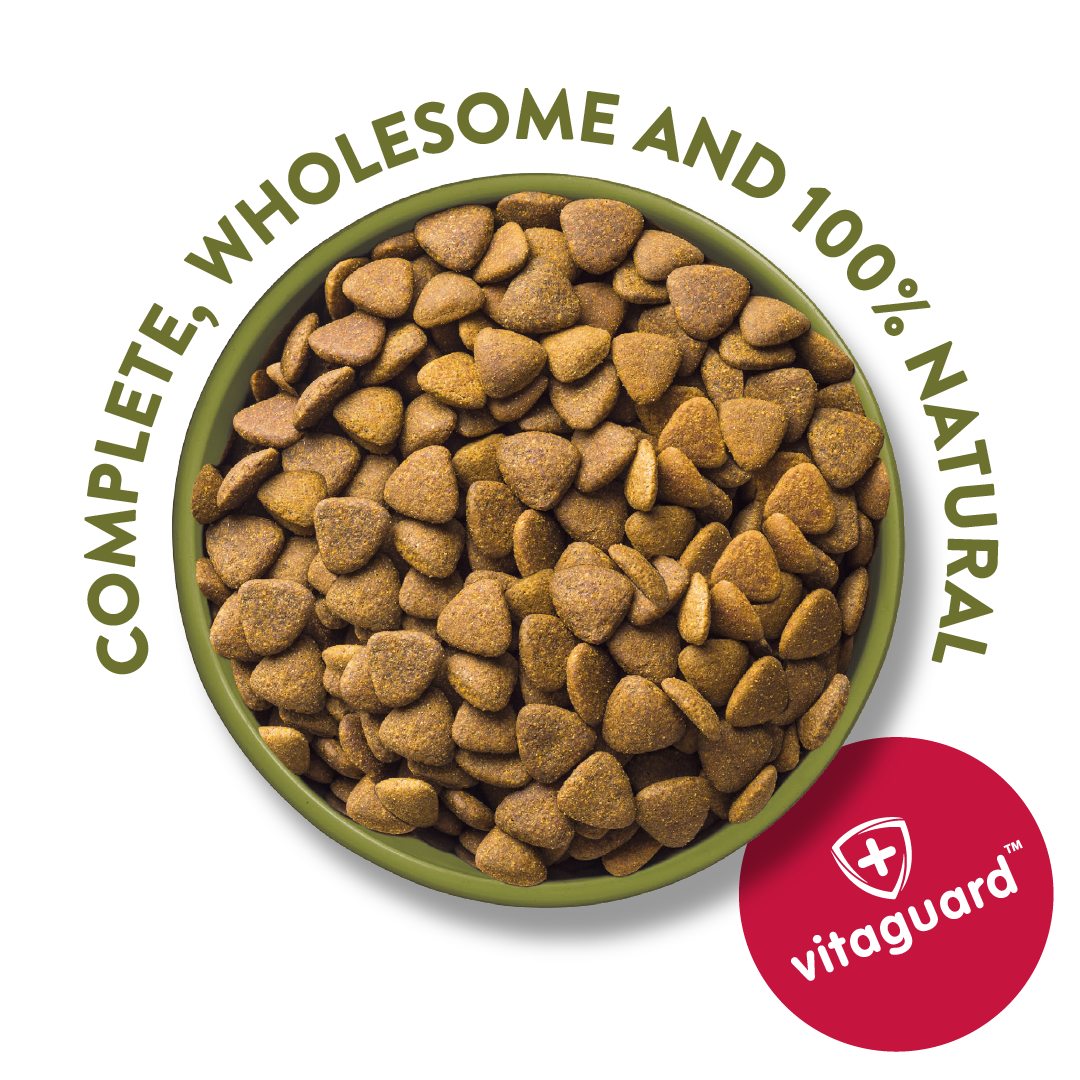 Harringtons Advanced Science Diet Dry Dog Food Small Breed