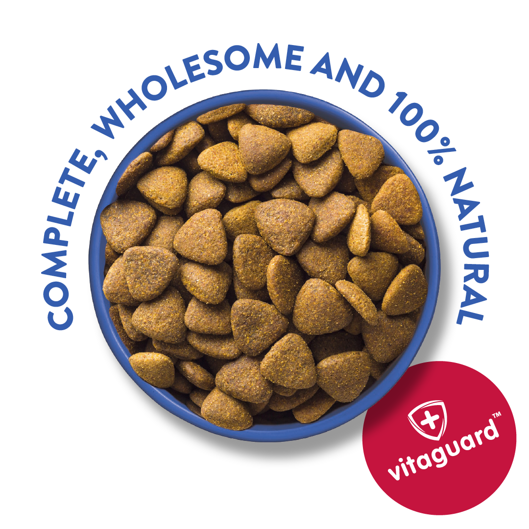 Science diet top natural dog food