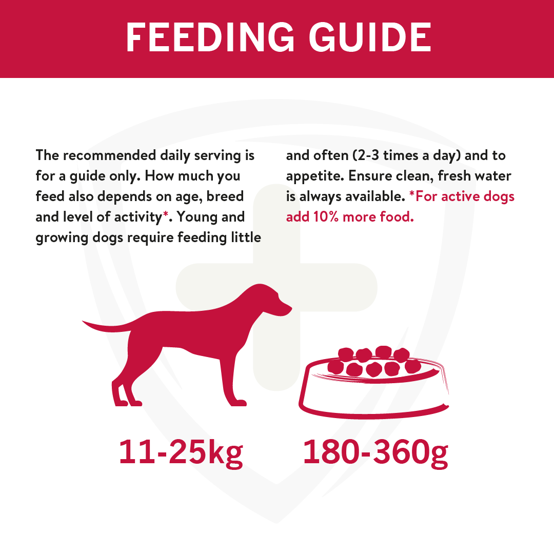 Harringtons Advanced Science Diet Dry Dog Food Medium Breed