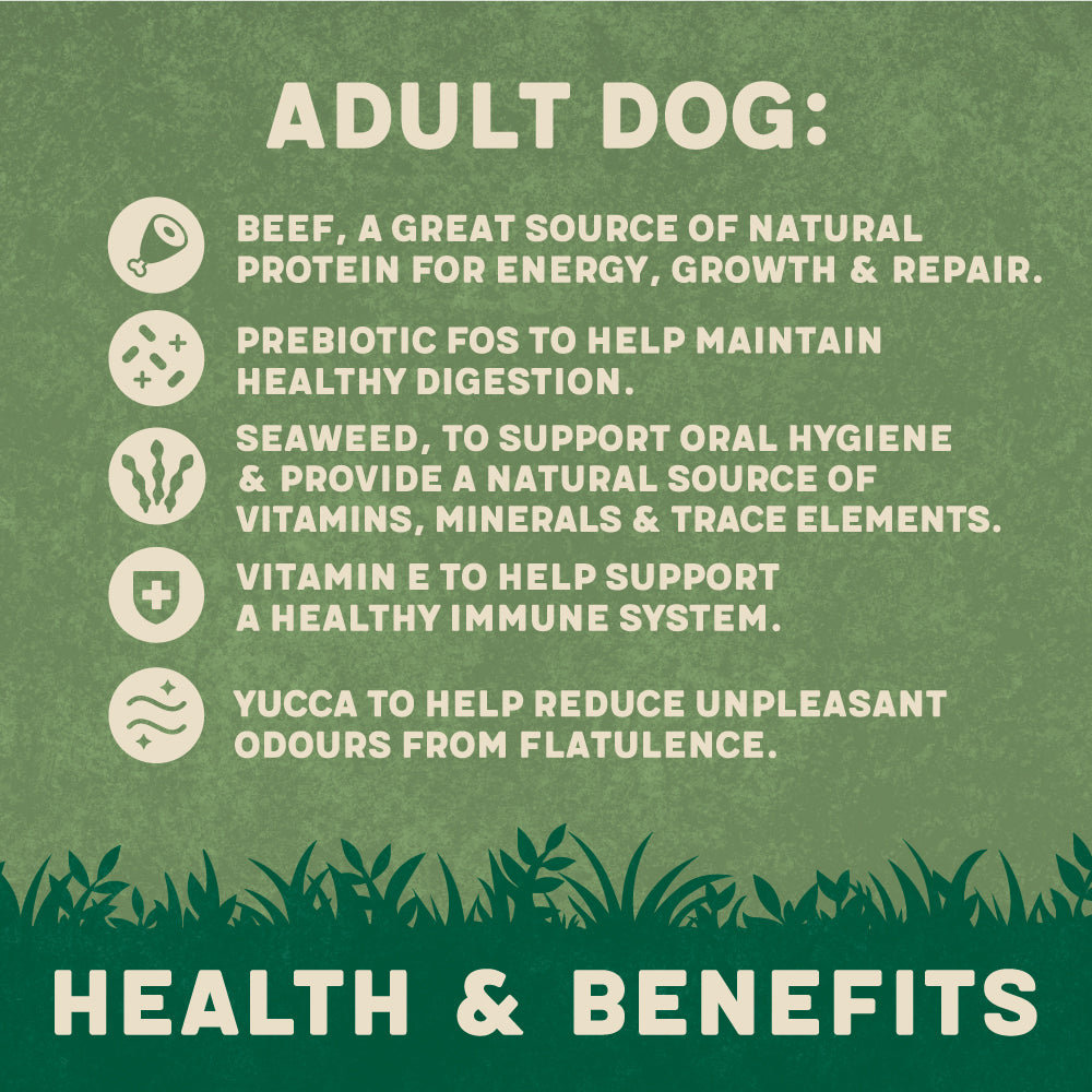 Dry Adult Dog Food Rich in Beef Rice 1.7kg