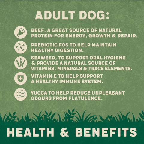 View of Rich Beef & Brown Rice Dry Dog Food | Harringtons – Harringtons Pet Food