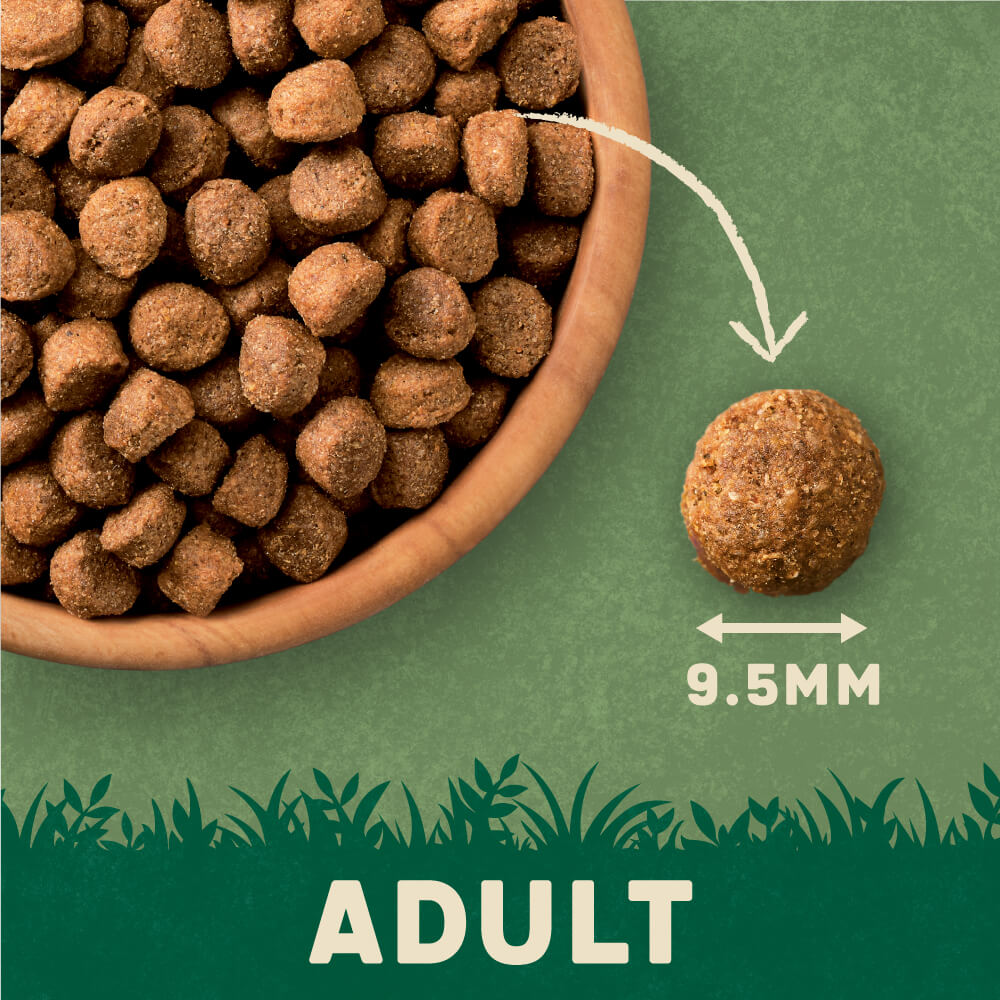 Harringtons Dry Dog Food Rich in Lamb and Rice 4kg