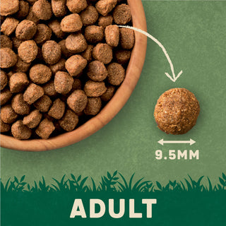 Dry Adult Dog Food Rich in Beef & Rice 4kg