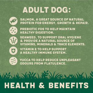 Dry Adult Dog Food Rich in Salmon & Potato 1.7kg