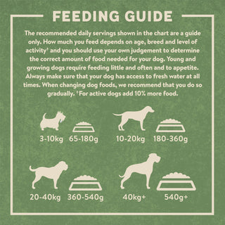 Dry Senior Dog Food Rich in Chicken & Rice 12kg