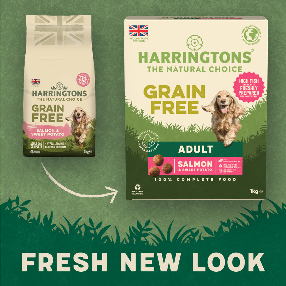 Harringtons GrainFree Dry Dog Food Complete Salmon & Sweet Potato 1kg