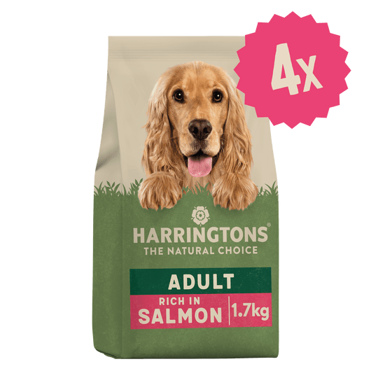 Dry Adult Dog Food Rich in Salmon & Potato 4 x 1.7kg