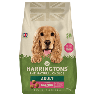 Dry Adult Dog Food Rich in Salmon & Potato 12kg