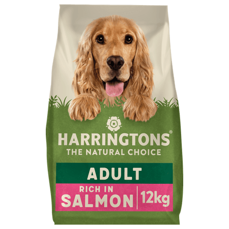 Salmon and potato dog food 15kg cheap