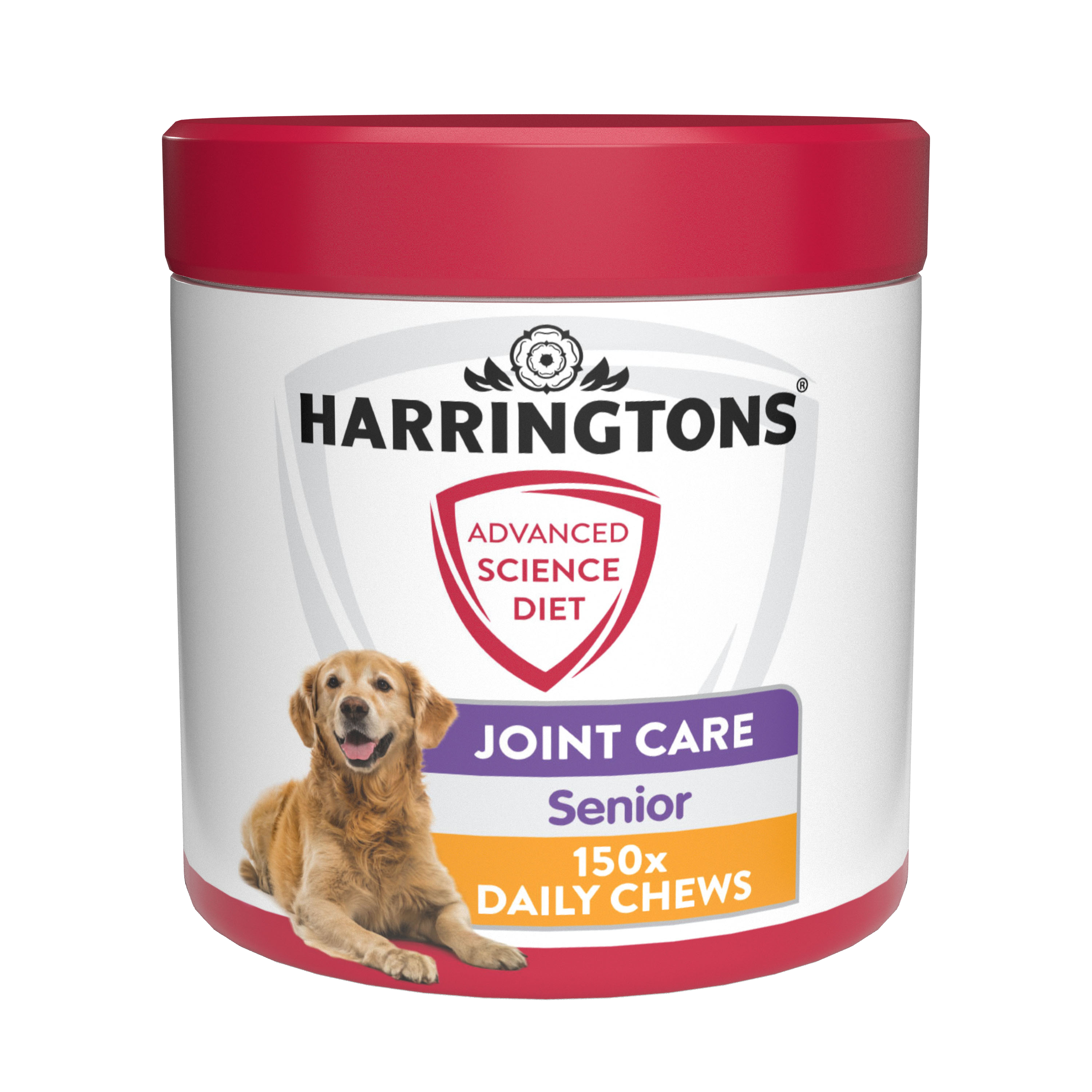 Joint care for senior sales dogs