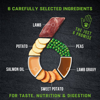 Just 6 Lamb with Vegetables & Gravy Complete Grain-Free Wet Dog Food 8 x 380g
