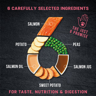 Just 6 Salmon with Vegetables & Gravy Complete Grain-Free Wet Dog Food 8 x 380g