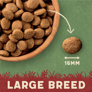 Dry Large Breed Adult Dog Food Rich in Lamb & Rice 14kg
