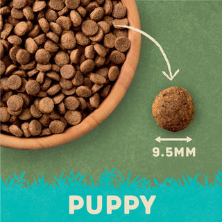 Dry Puppy Food Rich in Turkey & Rice 1.7kg