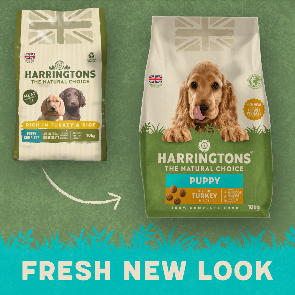 Harringtons Rich in Turkey Veg Complete Dry Puppy Food 10kg