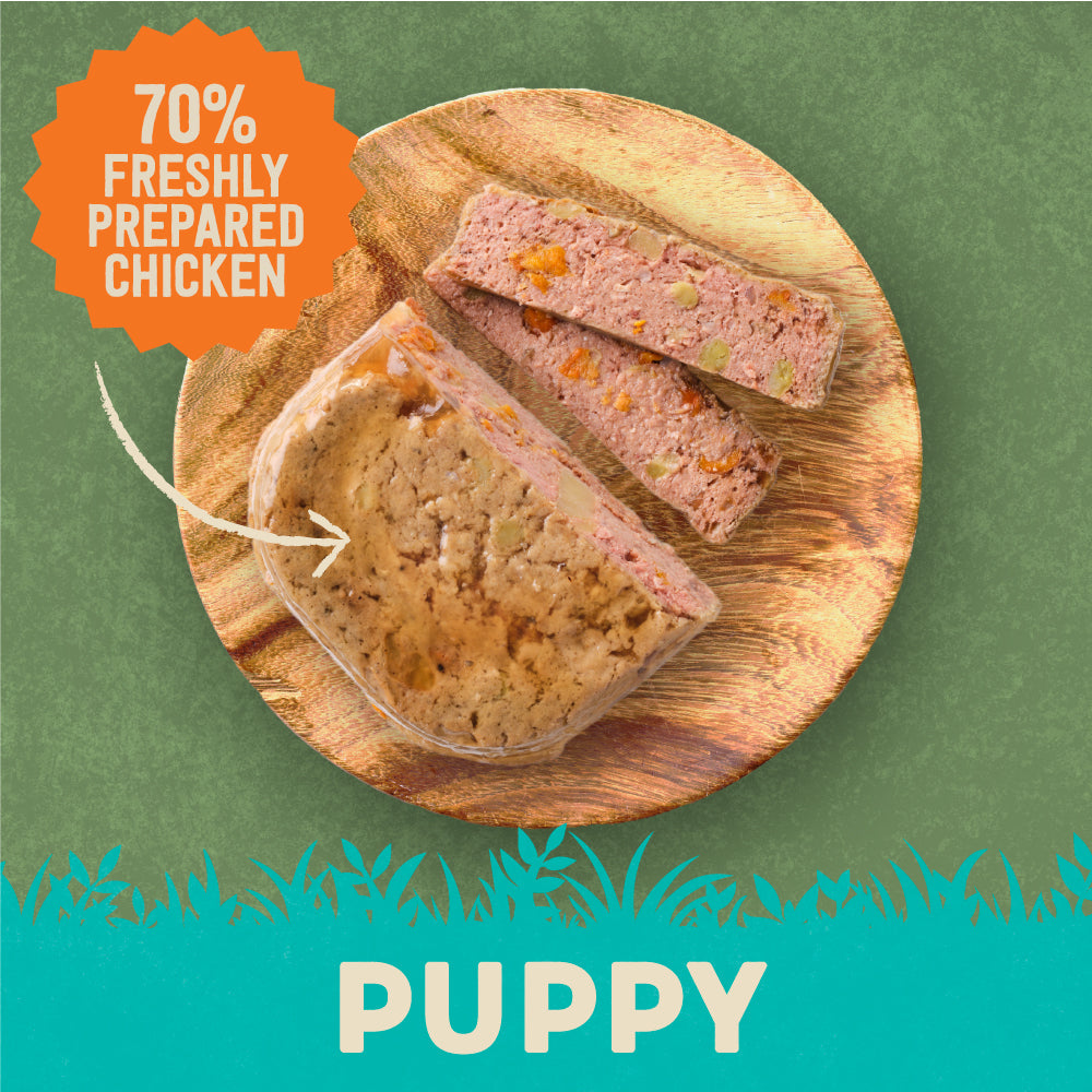 Harringtons Chicken With Potato Vegetables Wet Puppy Food 18 x 380g Harringtons Pet Food