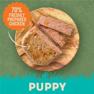 Chicken with Potato & Vegetables Grain Free Wet Puppy Food 18 x 380g