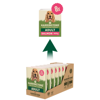 Salmon with Potato & Vegetables Grain Free Wet Dog Food 8 x 400g