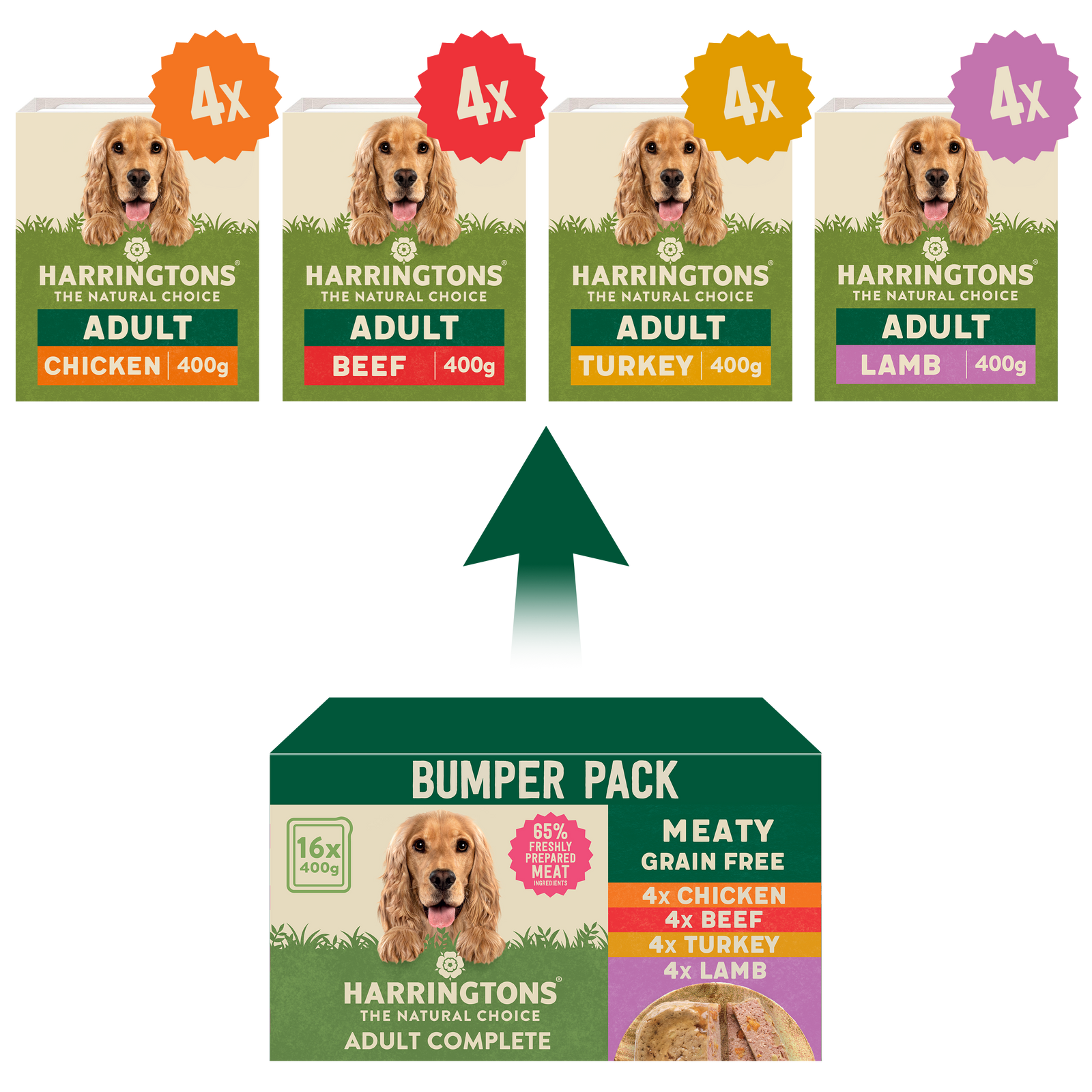 16 grain best sale free dog food
