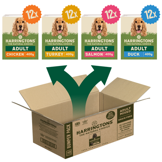 Grain Free Mixed Wet Dog Food Bumper Pack 48 x 400g