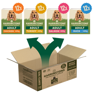 Grain Free Mixed Wet Dog Food Bumper Pack 48 x 400g