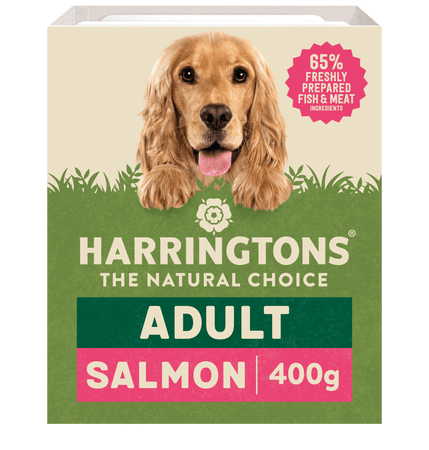 Pets at home harringtons puppy top